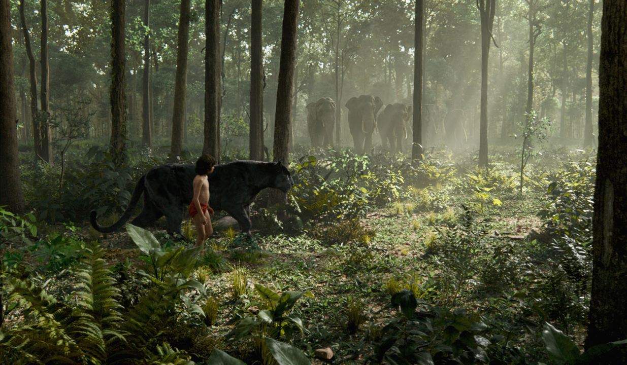 Le Livre de la jungle : Photo Neel Sethi