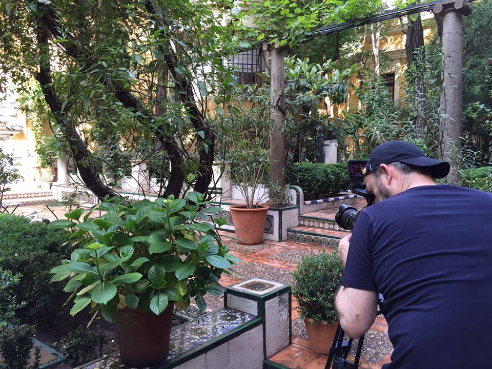 Peindre le jardin moderne : de Monet à Matisse : Photo