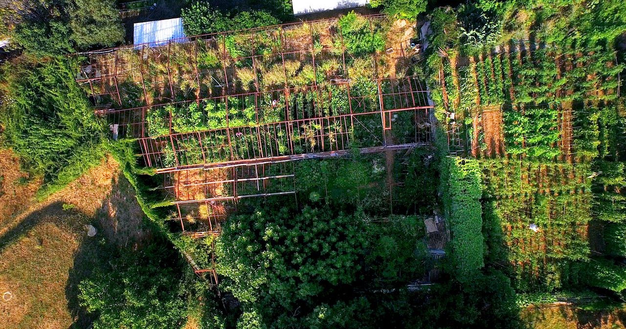 Le Potager de mon grand-père : Photo