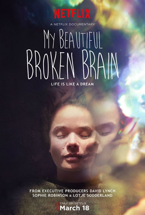 My Beautiful Broken Brain : Affiche