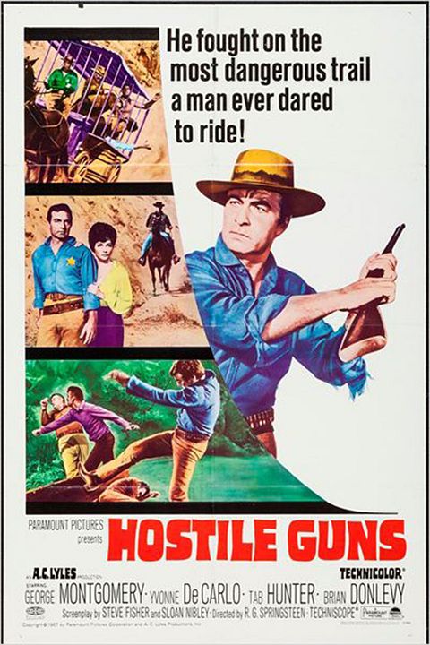 Hostile Guns : Affiche