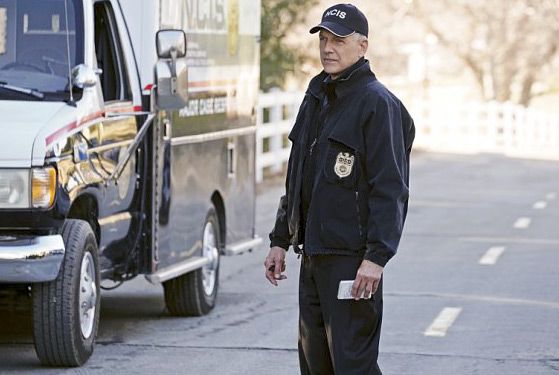 NCIS : Enquêtes spéciales : Photo Mark Harmon