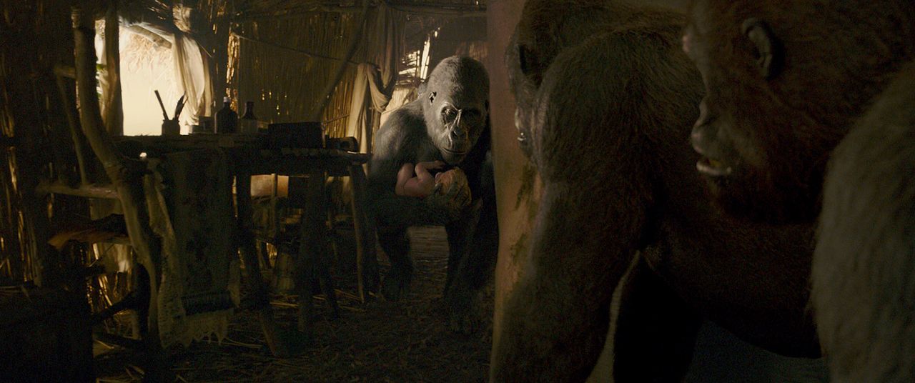 Tarzan : Photo