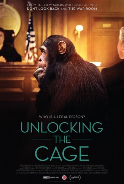 Unlocking the Cage : Affiche