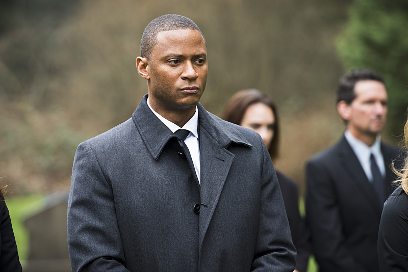 Arrow : Photo David Ramsey