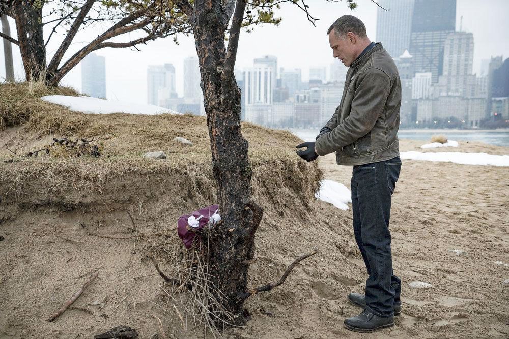 Chicago Police Department : Photo Jason Beghe