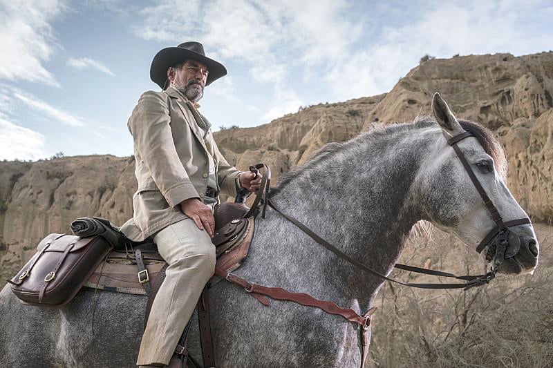 Penny Dreadful : Photo Timothy Dalton