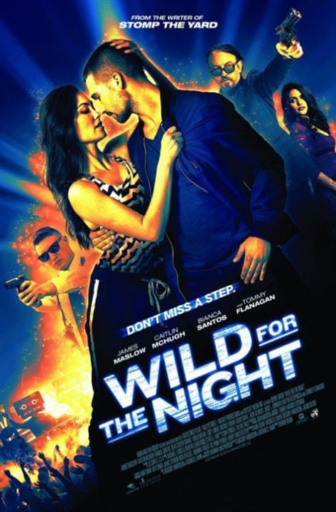 Wild for the Night : Affiche