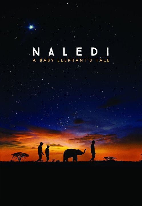 Naledi, l'éléphanteau orphelin : Affiche