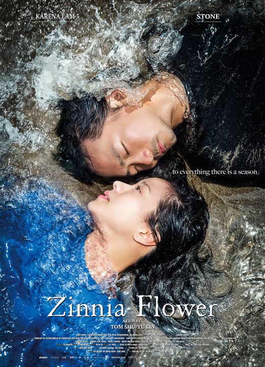 Zinnia Flower : Affiche
