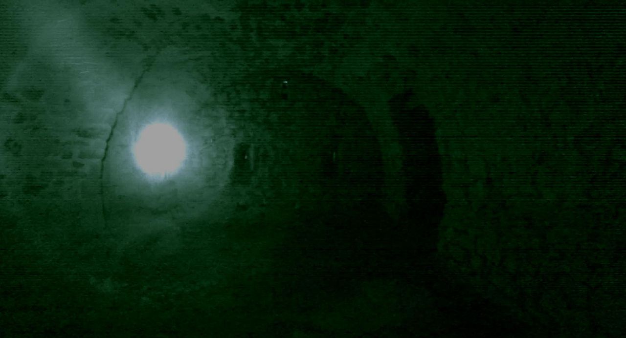 Dark Show : Photo