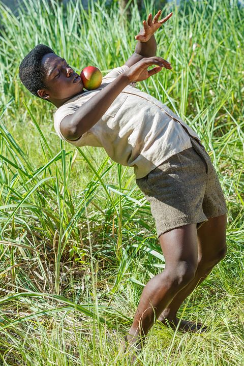 Pelé - naissance d’une légende : Photo