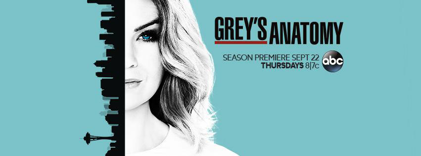 Grey's Anatomy : Affiche