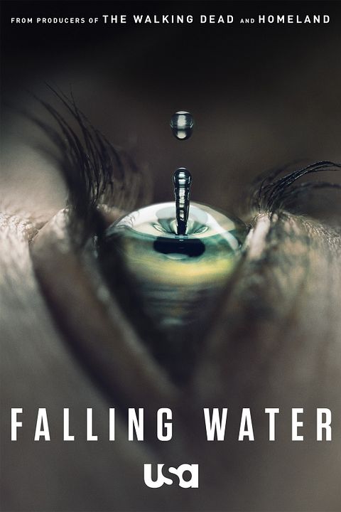 Falling Water : Affiche