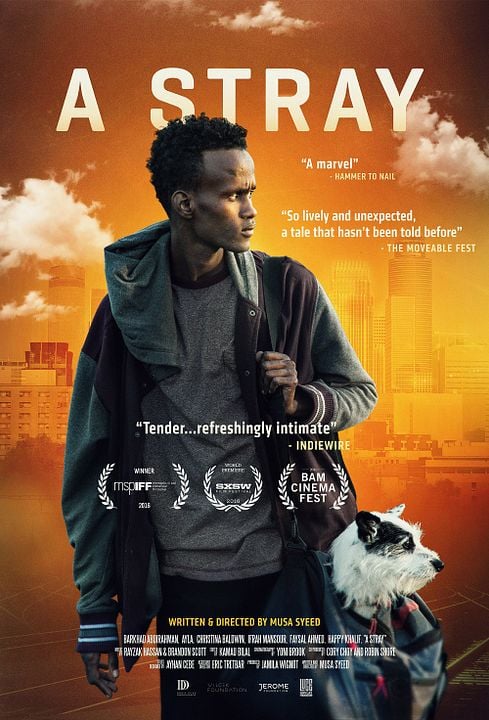 A Stray : Affiche