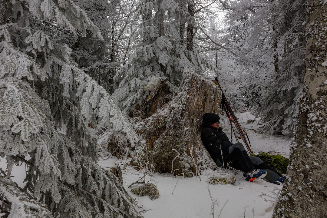 La Vallée des loups : Photo