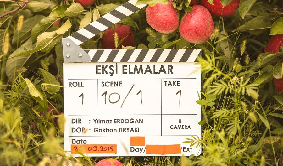 Ekşi Elmalar : Photo