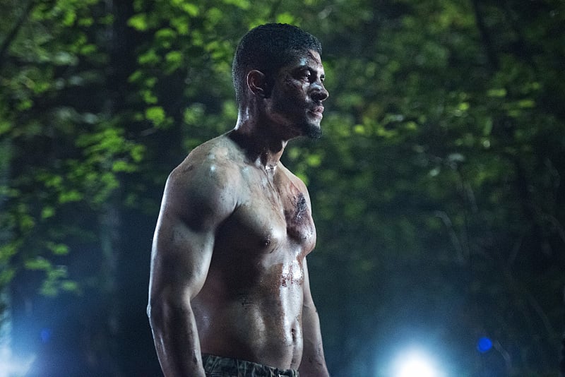 Arrow : Photo Rick Gonzalez