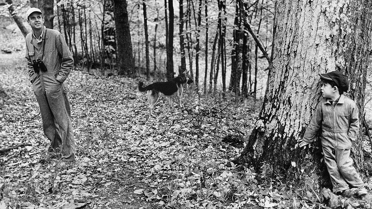 Look & See: A Portrait of Wendell Berry : Photo