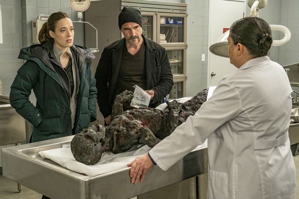 Chicago Police Department : Photo Elias Koteas, Marina Squerciati