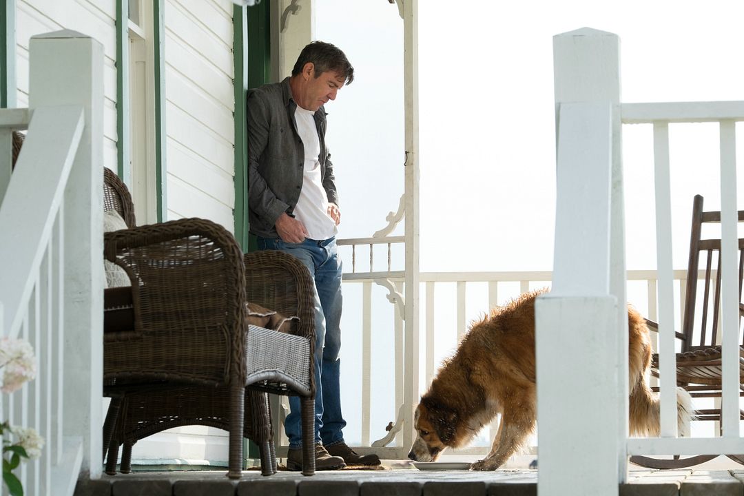 Mes vies de chien : Photo Dennis Quaid