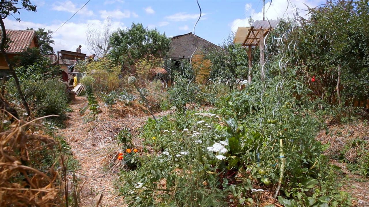 L'éveil de la permaculture : Photo