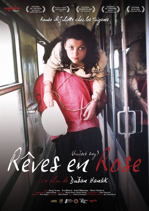 Rêves en rose : Affiche