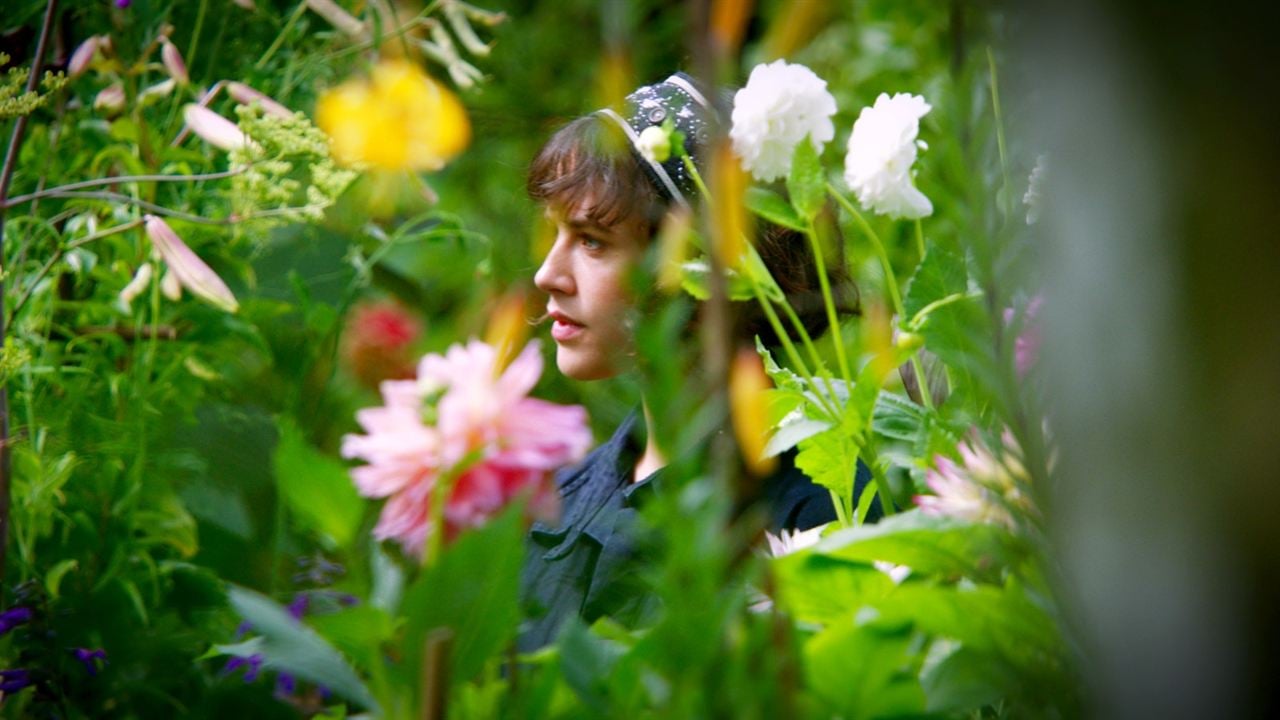 Le Merveilleux Jardin Secret de Bella Brown : Photo Jessica Brown Findlay