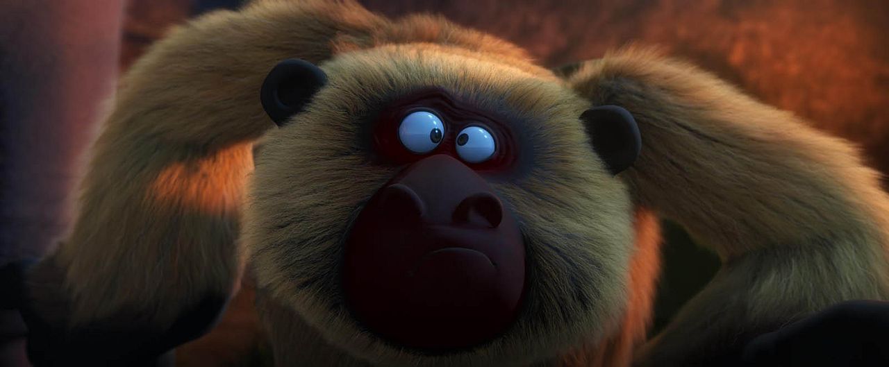 Les As de la Jungle : Photo