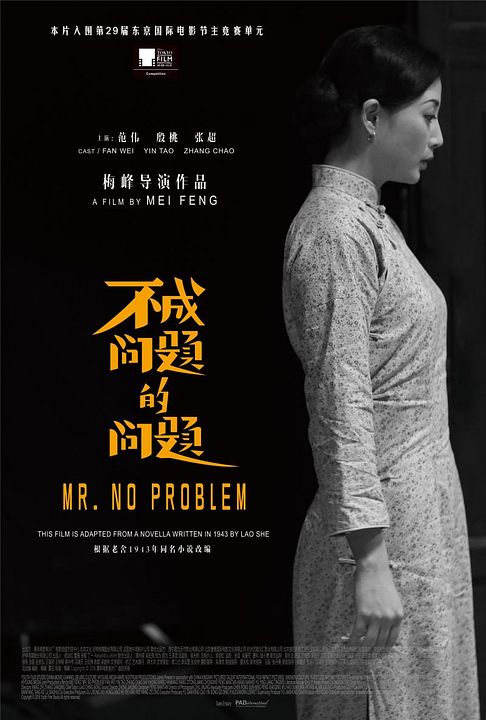 Mr No Problem : Affiche