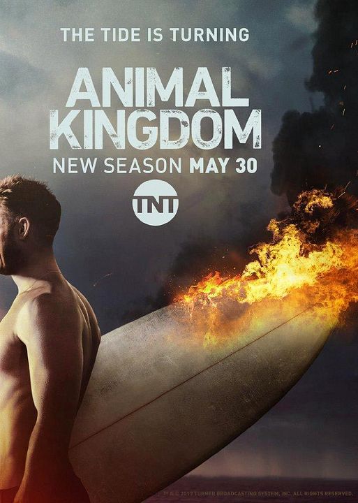 Animal Kingdom : Affiche