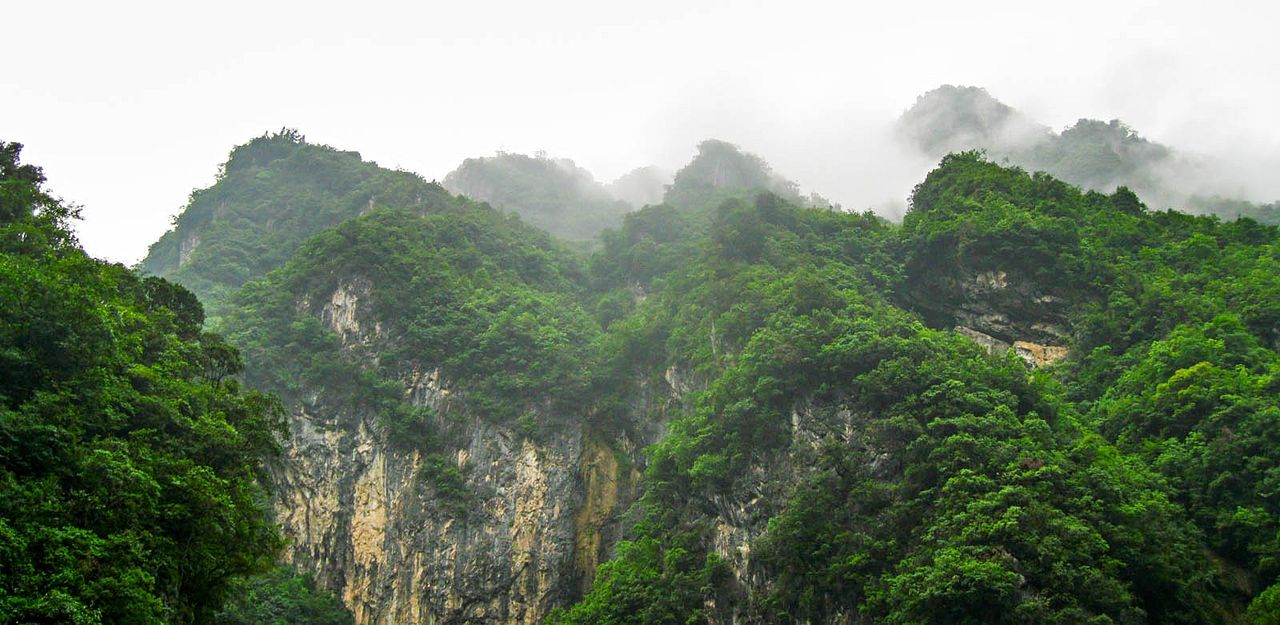 Nés en Chine : Photo