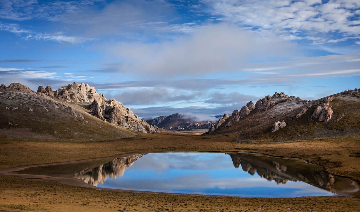 Nés en Chine : Photo
