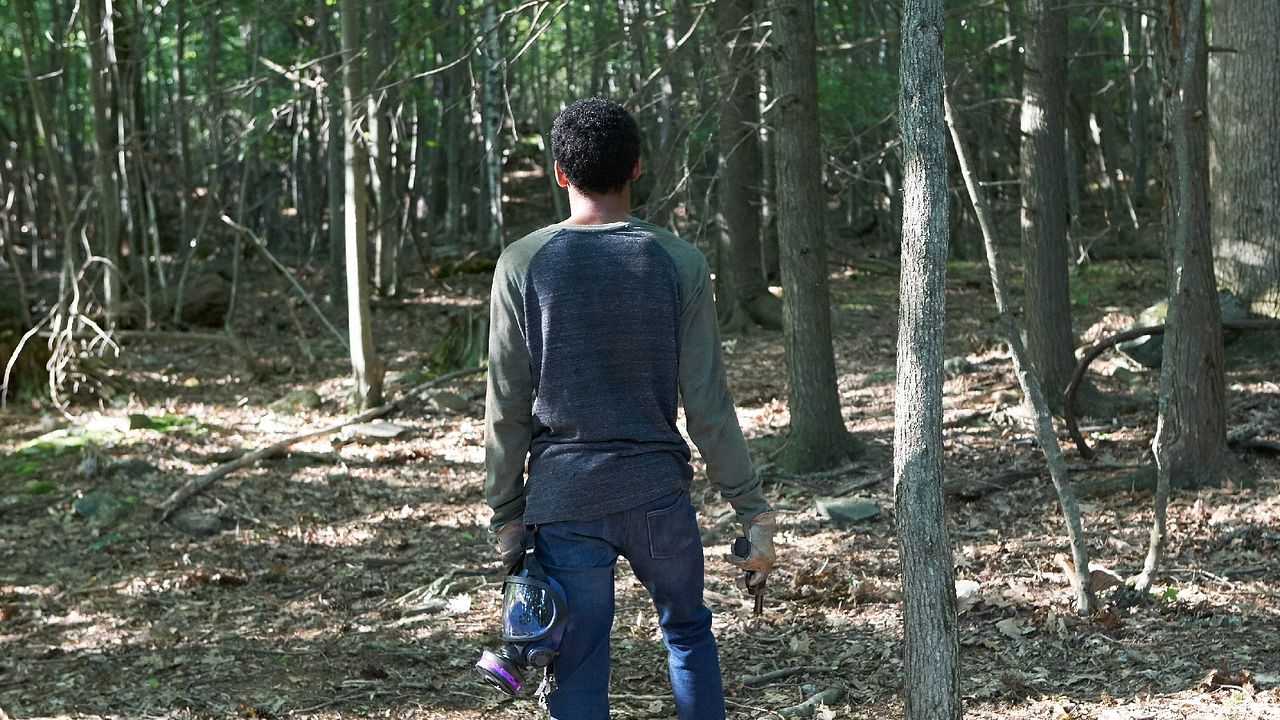 It Comes At Night : Photo