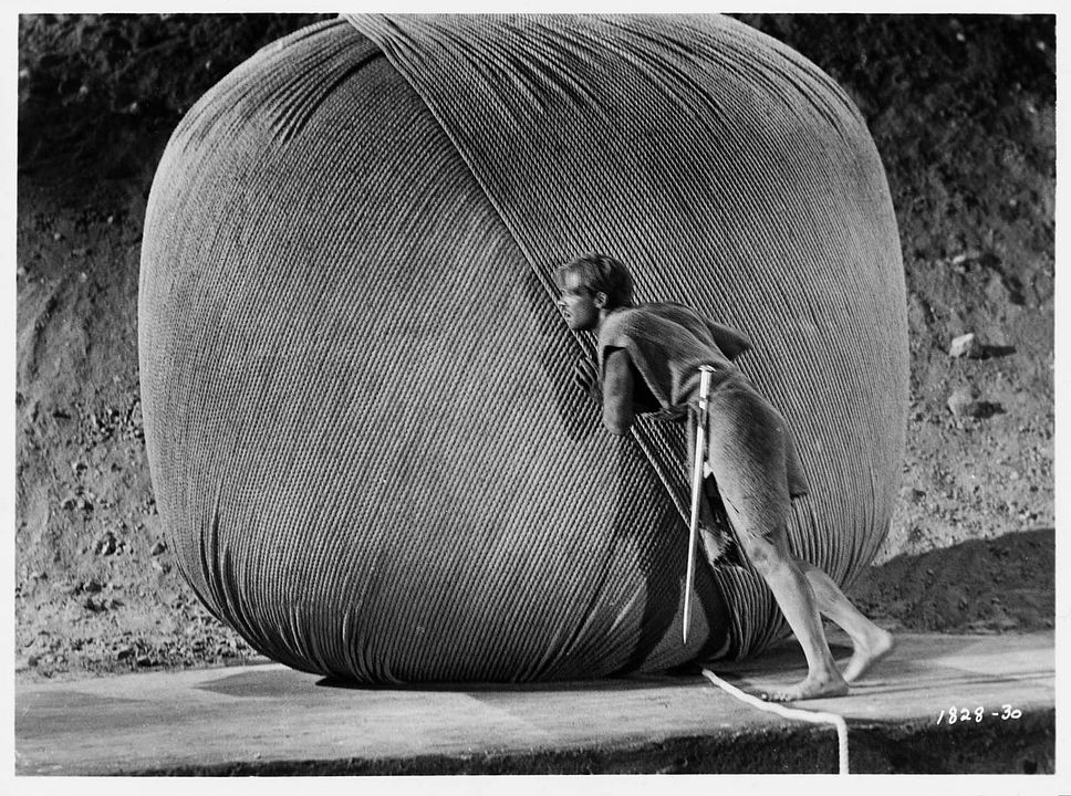 L'Homme qui rétrécit : Photo Grant Williams