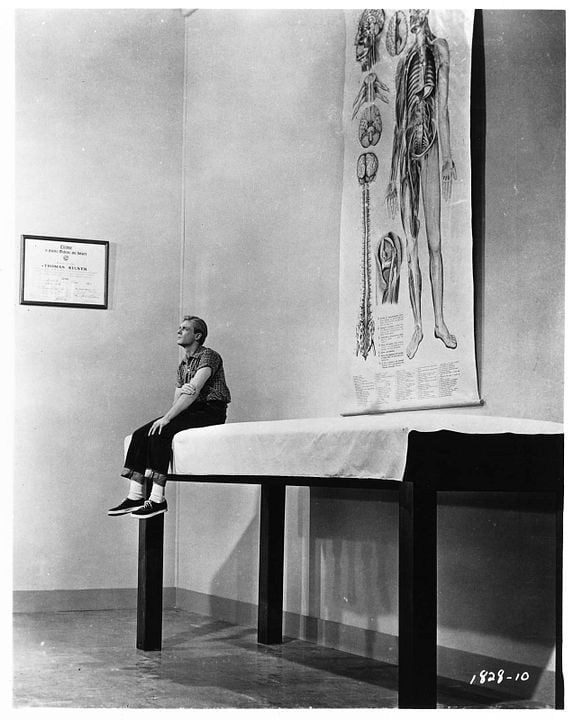 L'Homme qui rétrécit : Photo Grant Williams