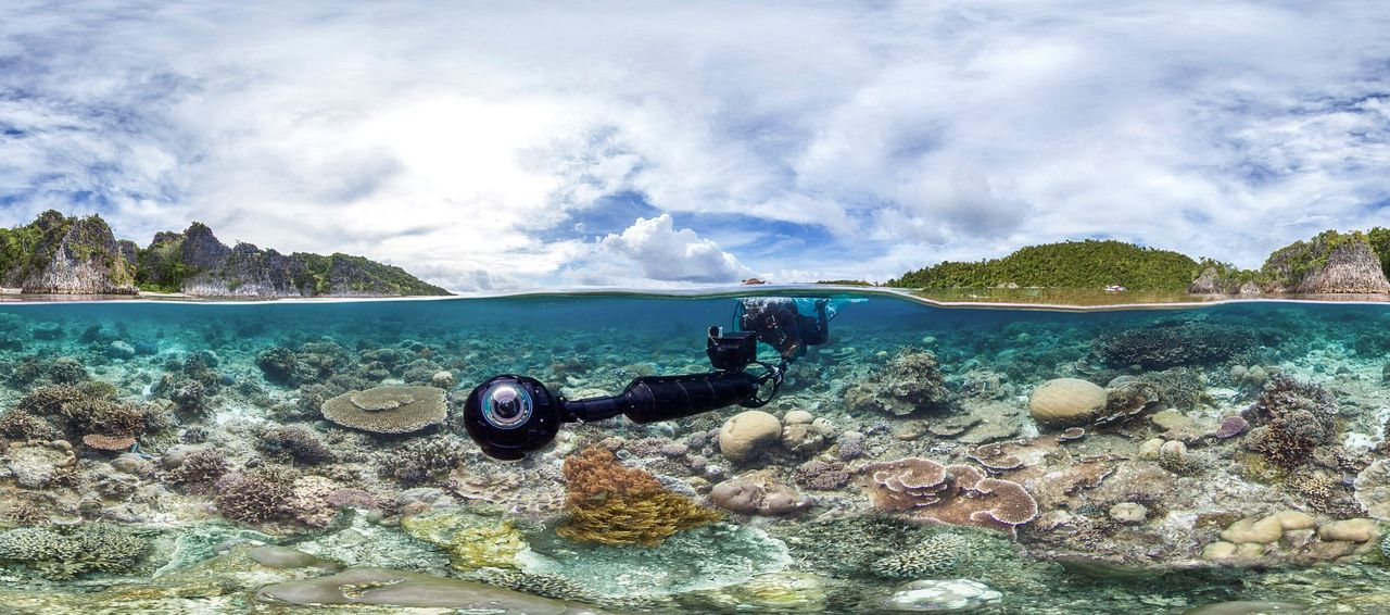Chasing Coral : Photo