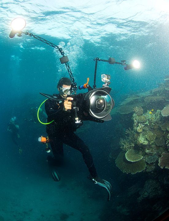 Chasing Coral : Photo Jeff Orlowski