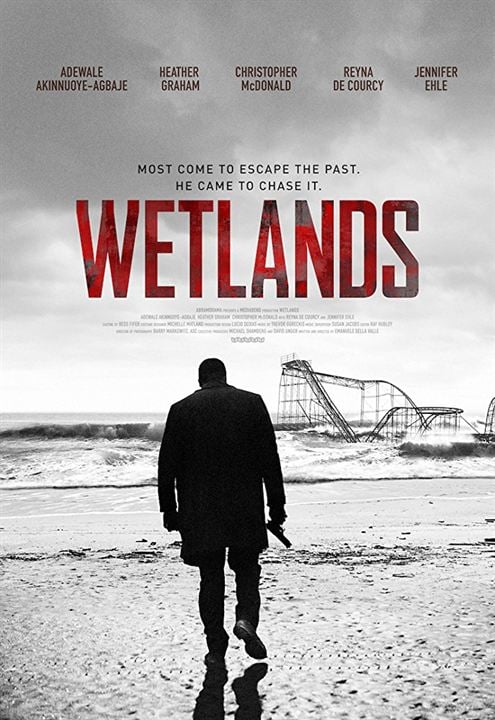 Wetlands : Affiche