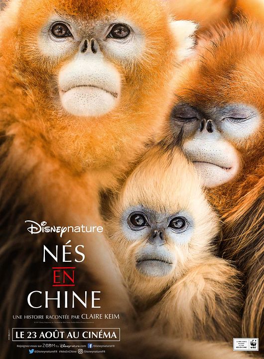 Nés en Chine : Affiche