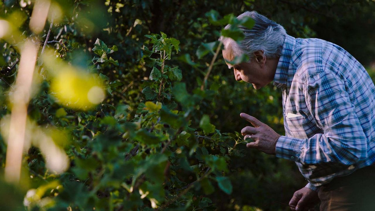 La Quête d’Alain Ducasse : Photo