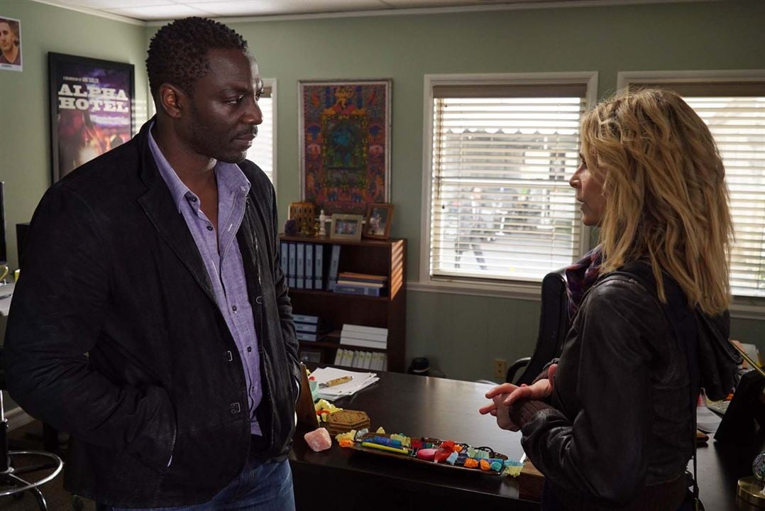 Ten Days In The Valley : Photo Adewale Akinnuoye-Agbaje, Kyra Sedgwick