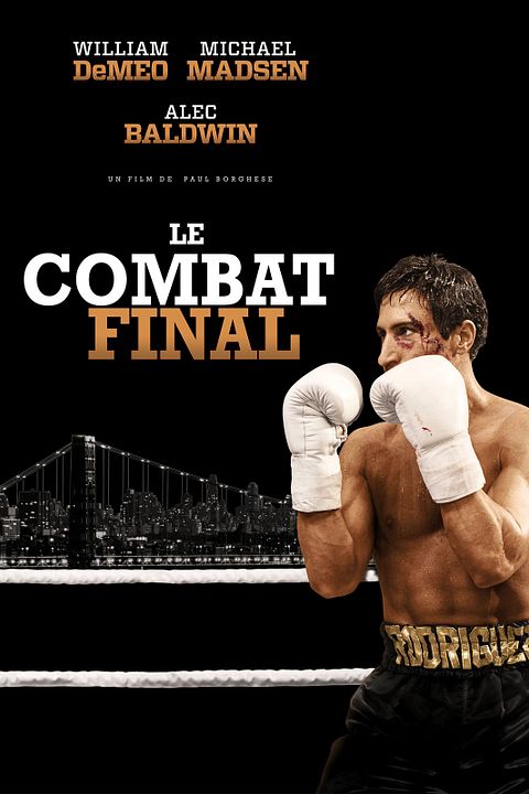 Le Combat final : Affiche