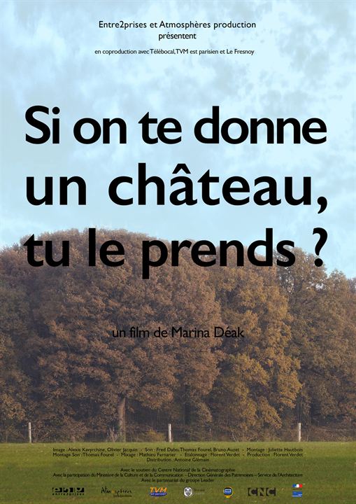 Si on te donne un château, tu le prends ? : Affiche