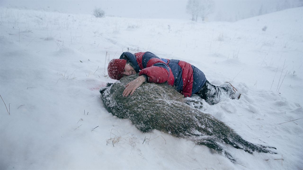 Tableau de chasse : Photo