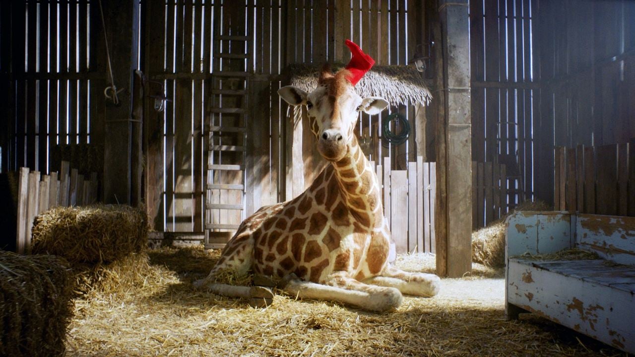 Raf, ma Girafe : Photo