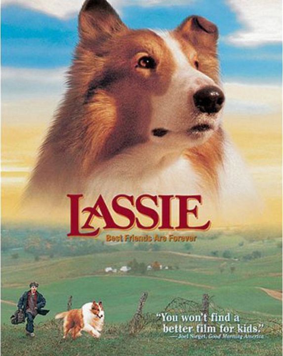 Les Nouvelles aventures de Lassie : Affiche