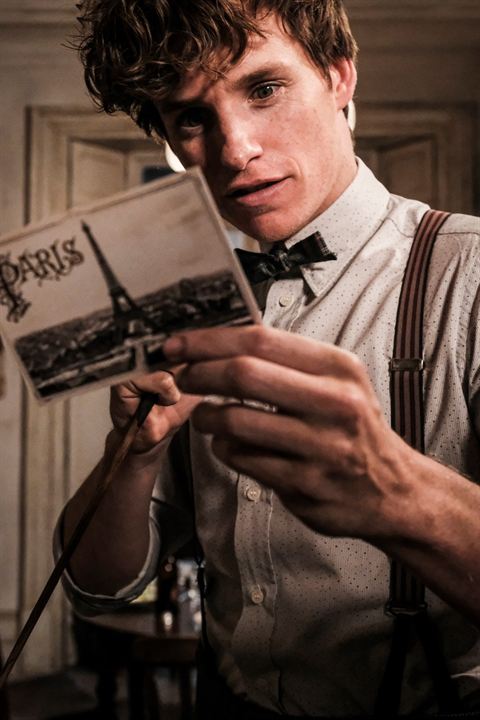 Les Animaux fantastiques : Les crimes de Grindelwald : Photo Eddie Redmayne