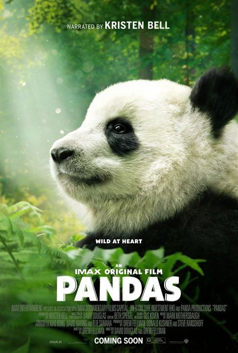 Pandas : Affiche