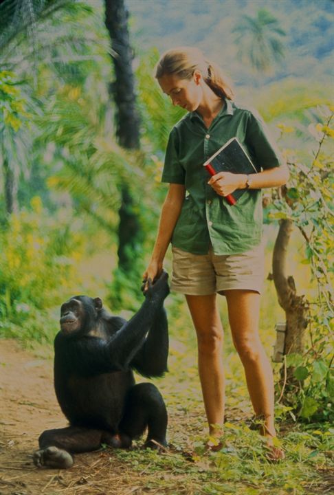 Jane : Photo Jane Goodall